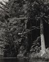 WEBER, BRUCE (1946- ) A triptych titled Rob, Upper St. Regis Lake, Adirondack Park.